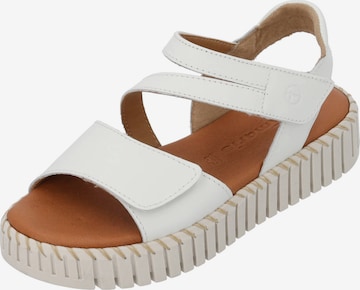 Tamaris Sandals in White: front