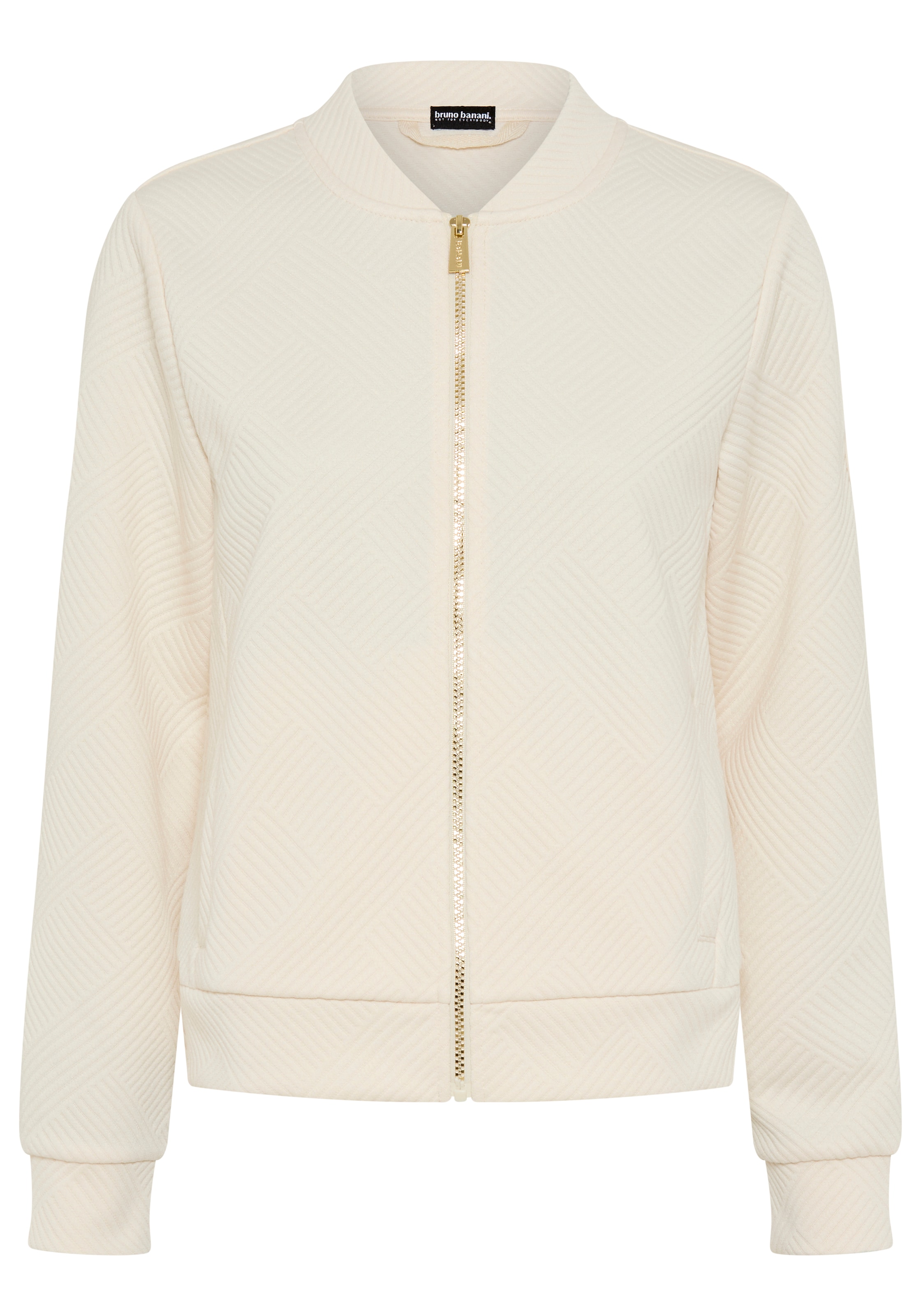 Bruno Banani LM Zip-Up Hoodie in Beige: front