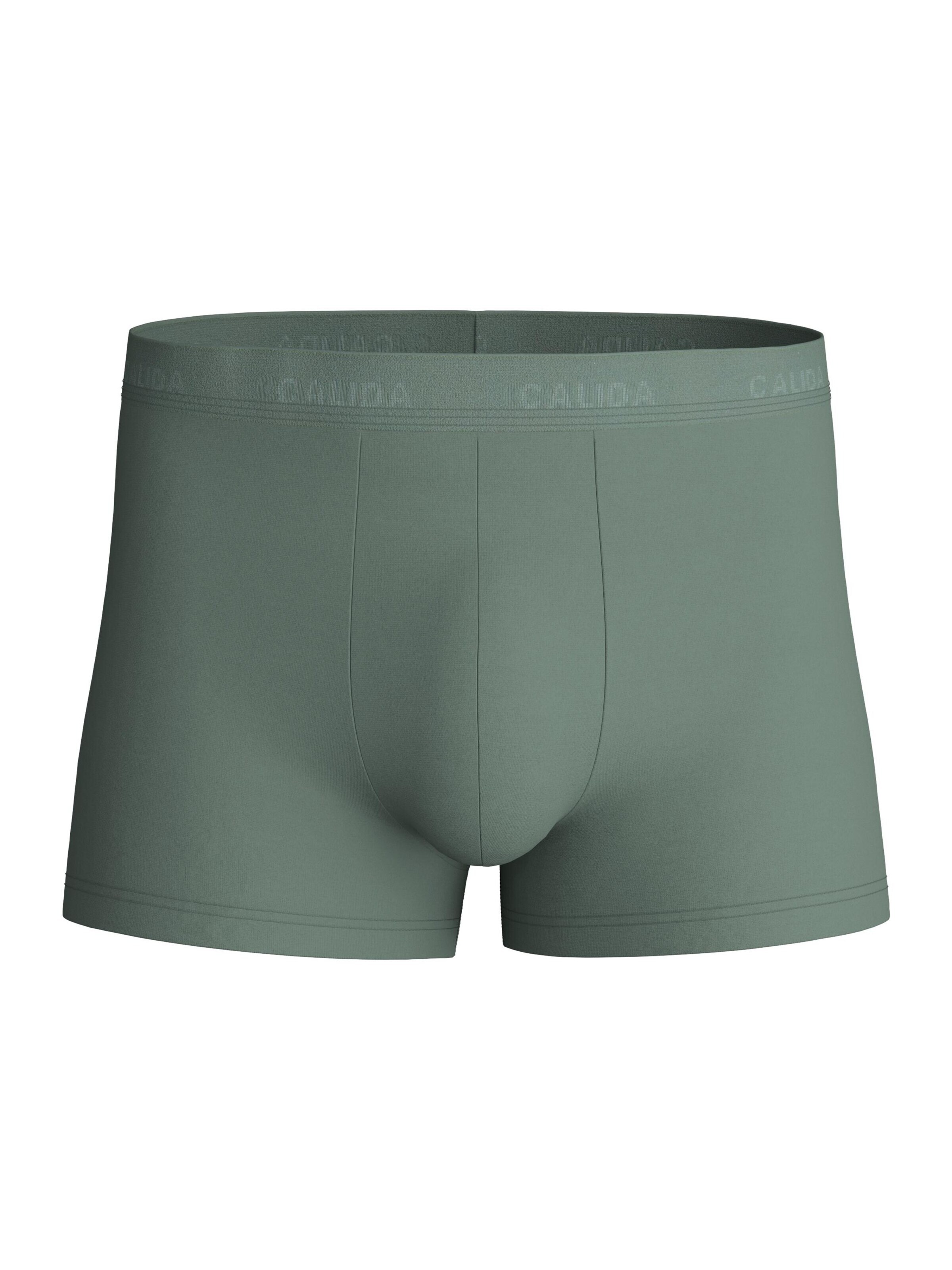CALIDA Boxer shorts 'Evolution' in Grey: front
