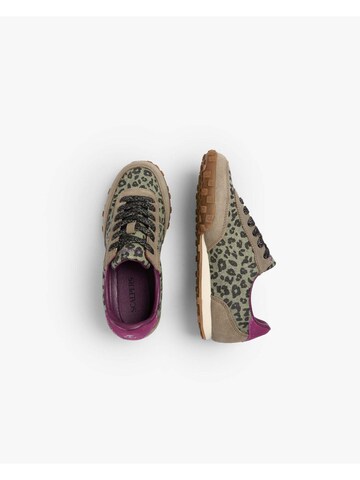 Scalpers Sneakers ' ' in Gemengde kleuren: bovenkant