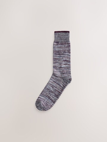 Next Socks in Mixed colors