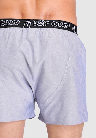 Lousy Livin Boxer shorts in Grey