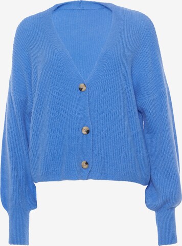 Decay Knit Cardigan in Blue: front