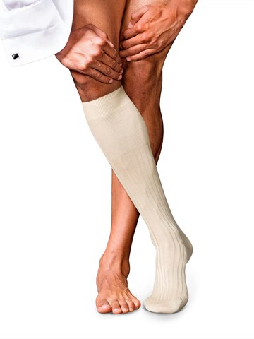 FALKE Kniestrümpfe 'No. 13 Finest Piuma Cotton'‌‌‌‌‌‌‌‌‌ in Beige: Vorderseite
