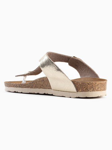 Bayton Mule 'Mercure' in Gold
