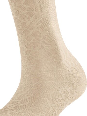 FALKE Overknee Strümpfe 'Soft Spell'‌‌‌‌‌‌‌‌‌‌ in Beige
