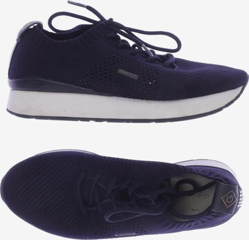 GANT Sneakers & Trainers in 37 in Blue: front