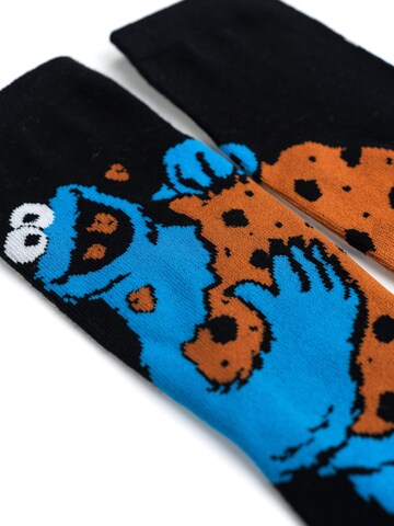 SESAMSTRASSE Socken‌‌‌‌‌‌‌‌‌‌ in Mischfarben