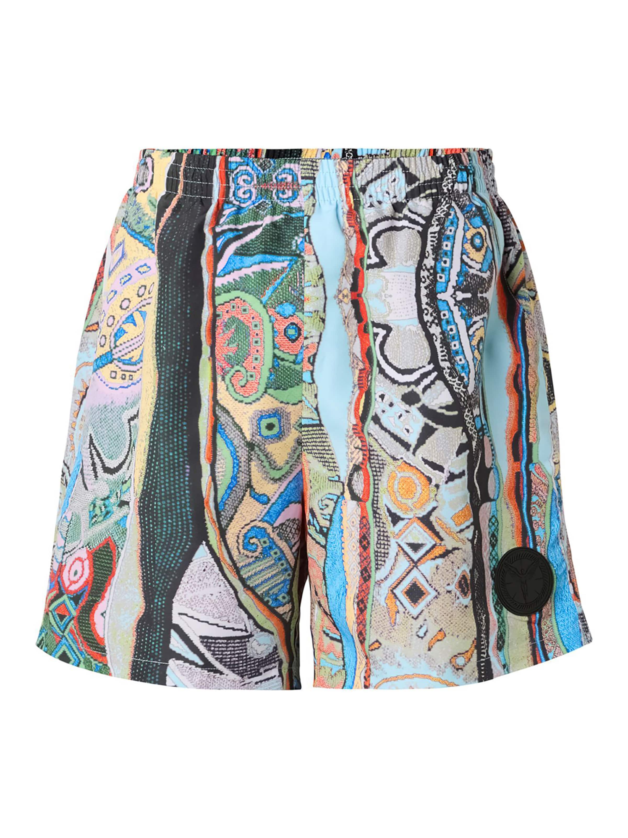 Colucci Board Shorts 'Signature' in Mixed colors: front