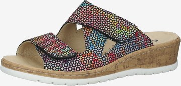 COSMOS COMFORT Mules in Mixed colors: front