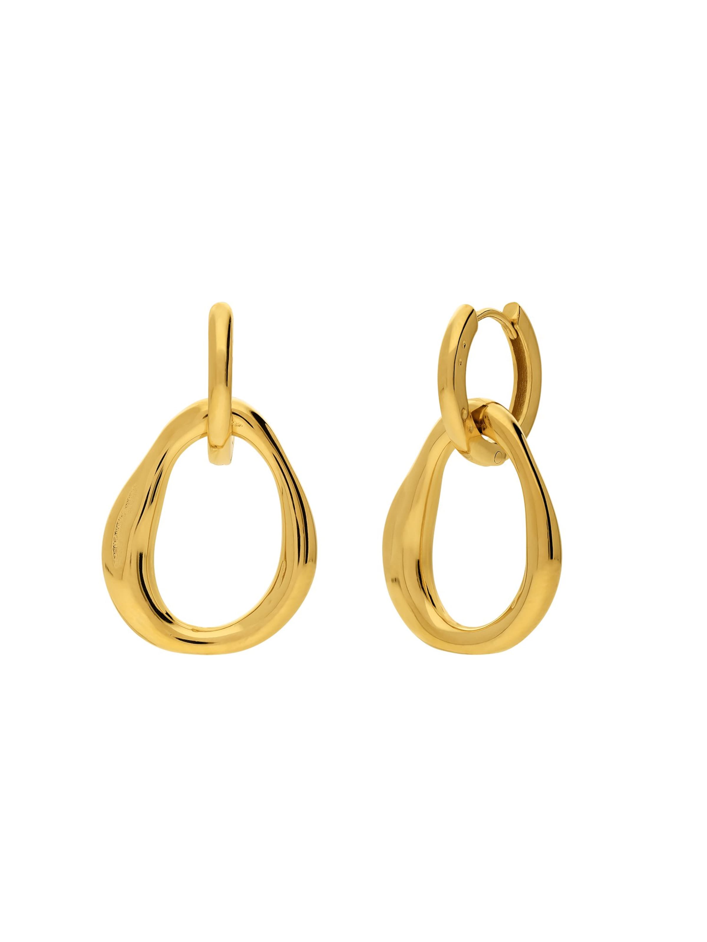 Lucardi Earrings in Gold: front