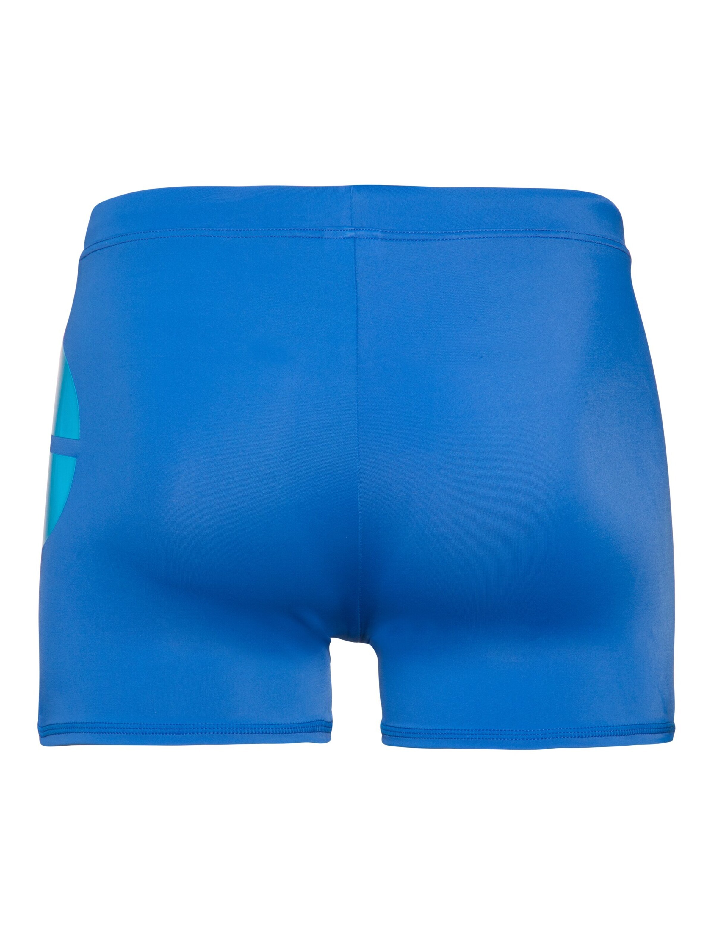 PROTEST Bathing trunks 'CARSTEN' in Blue