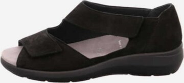 SEMLER Sandals in Black