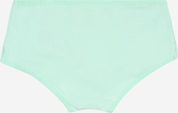 GAP Unterhose in Mischfarben