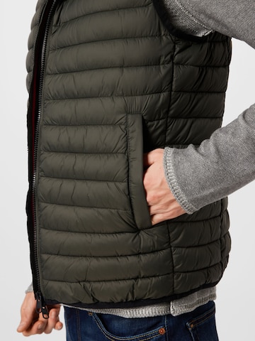 CINQUE Bodywarmer in Groen