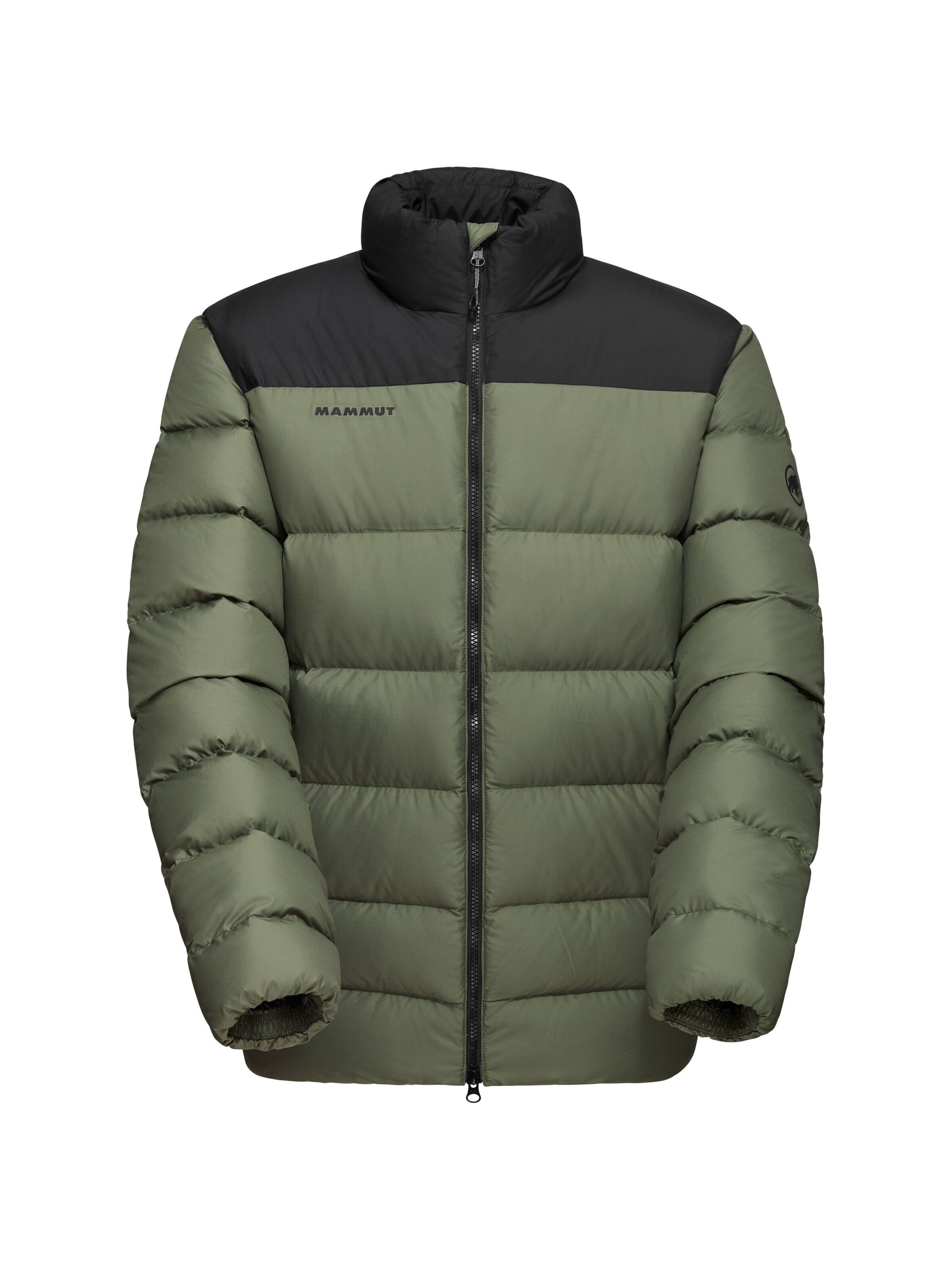 MAMMUT Outdoor jacket in Green: front