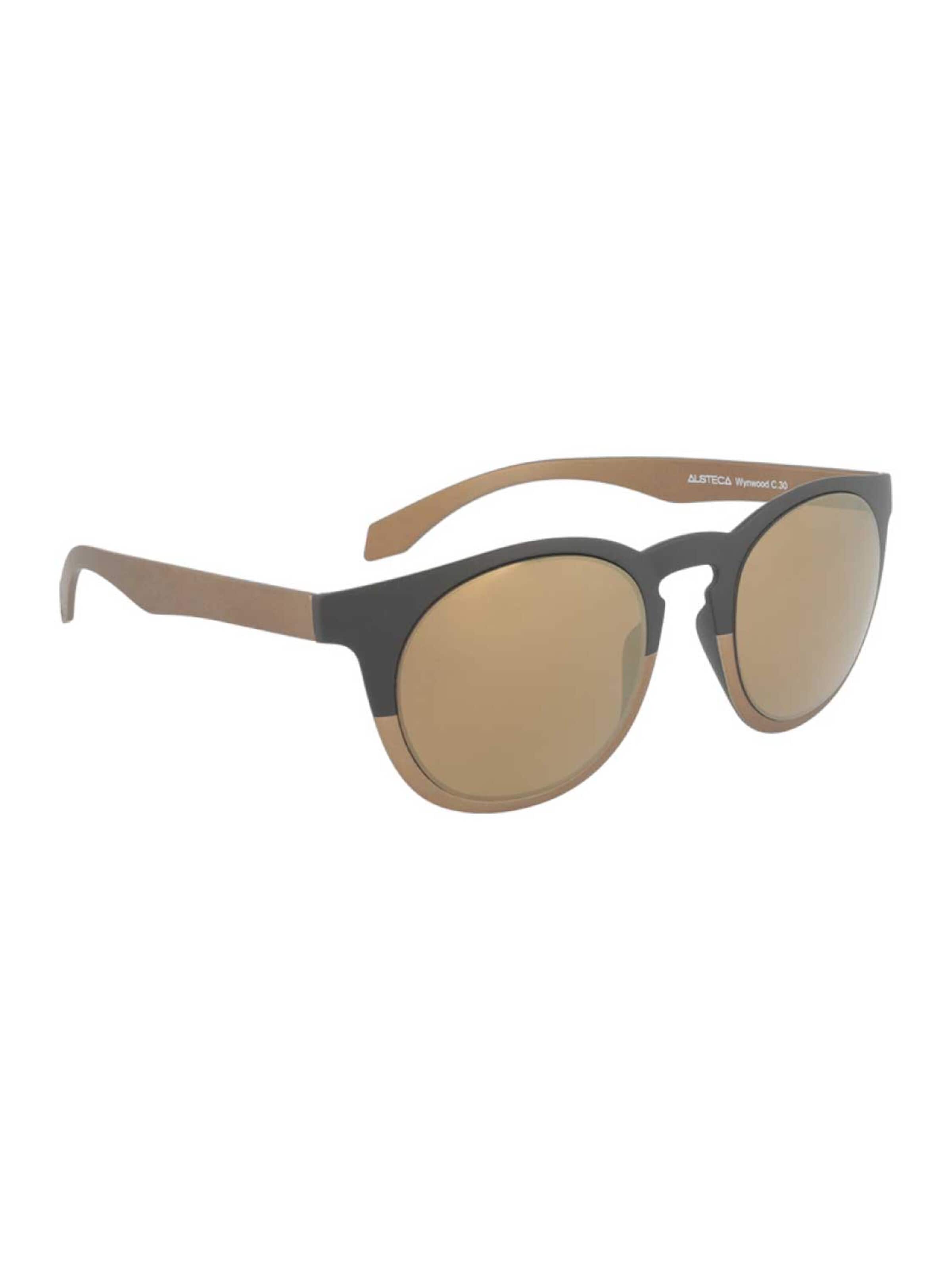 Alsteca Sunglasses 'Wynwood C30' in Brown
