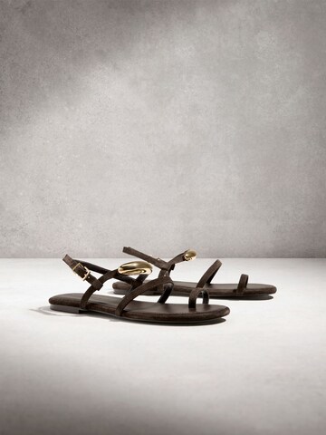 Next Sandalen met riem in Bruin
