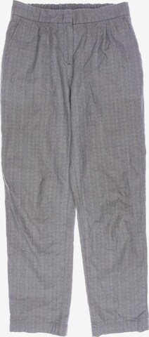 Grüne Erde Pants in S in Grey: front