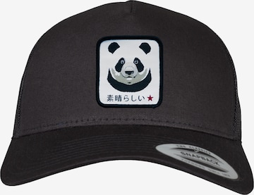 F4NT4STIC Cap in Black: front