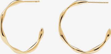 P D PAOLA Earrings 'Vanilla' in Gold: front
