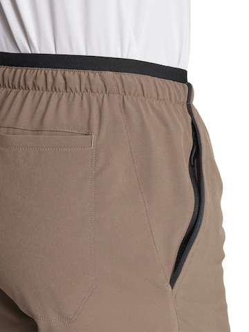 ADIDAS TERREX Regular Sports trousers 'LITEFLEX' in Brown