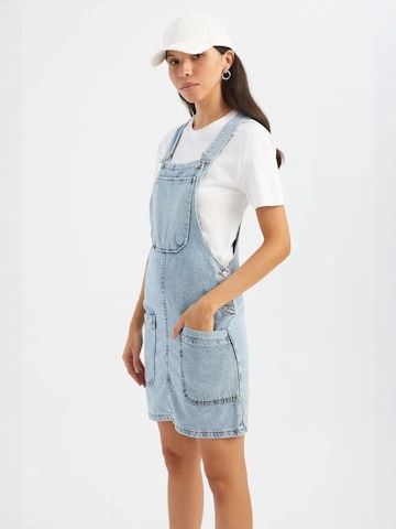 Hiccup Jumpsuit 'Jeans-Overalls und Jumpsuits' in Blue