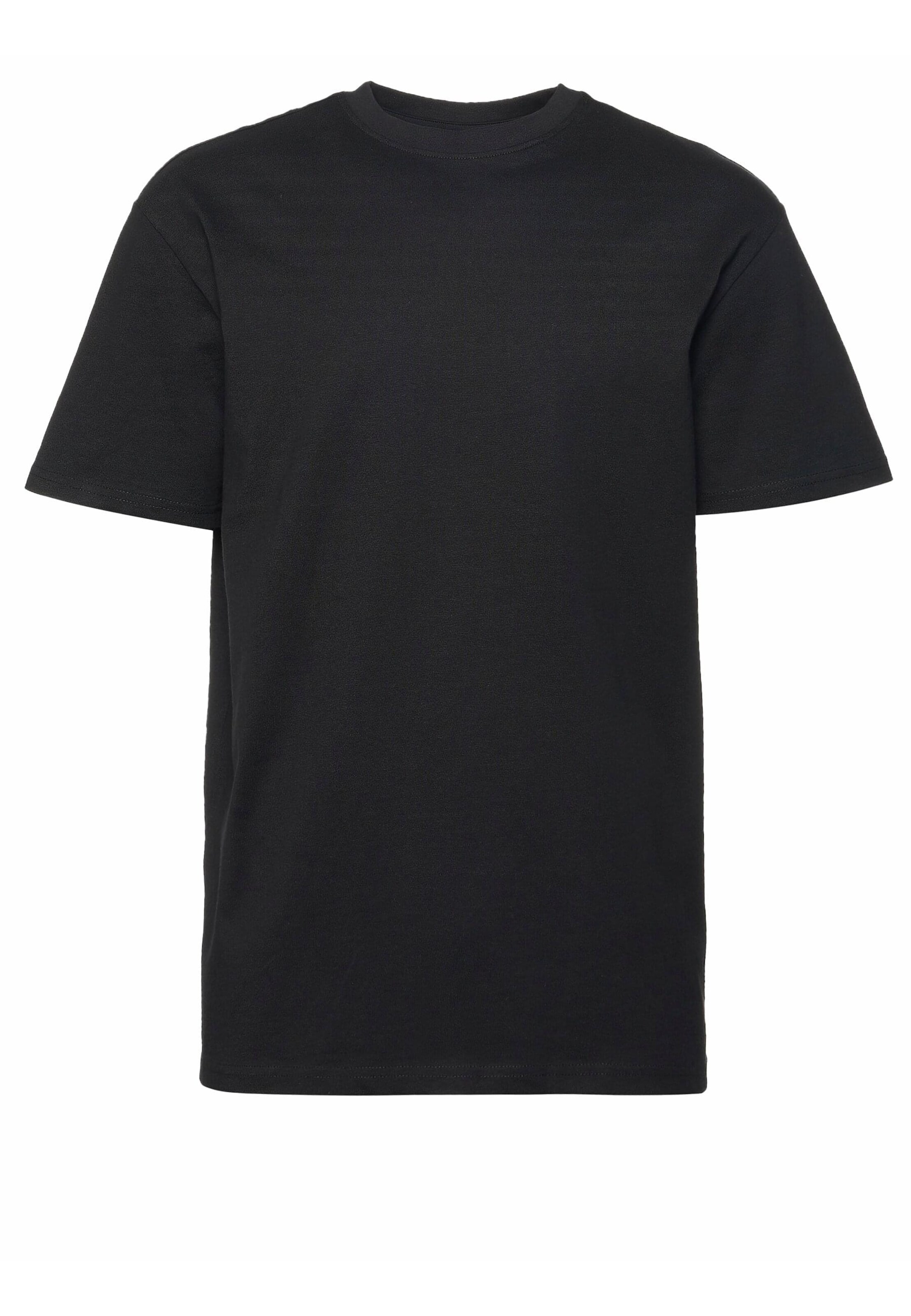 T-Shirt 'Statue' ROCAWEAR en noir : devant