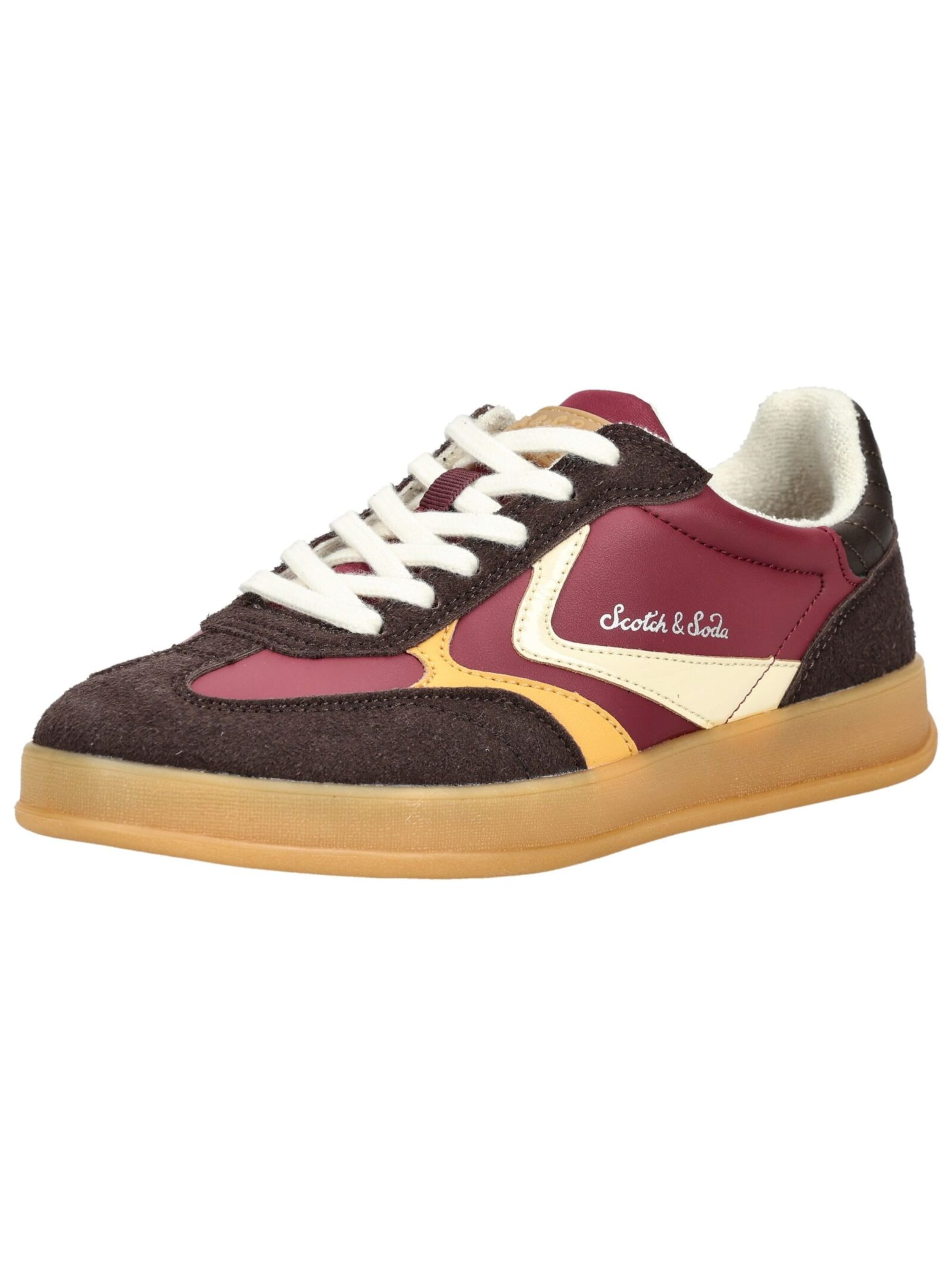 Baskets basses SCOTCH & SODA en marron : devant