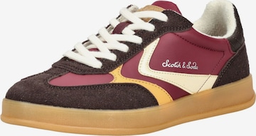 Baskets basses SCOTCH & SODA en marron : devant