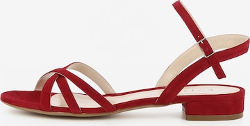 EVITA Strap Sandals 'SALVINA' in Red