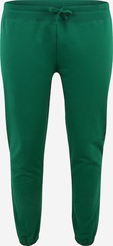 Pantaloni di GAP in verde: frontale