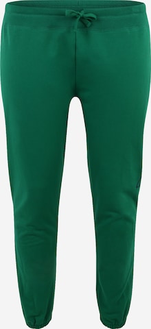 Tapered Pantaloni di GAP in verde: frontale