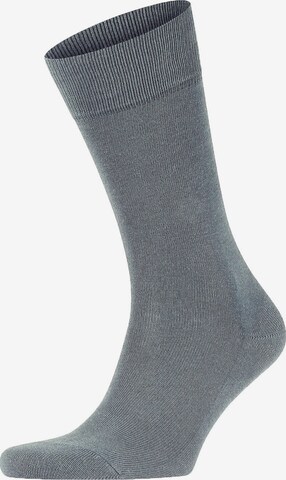 Chaussettes FALKE en gris