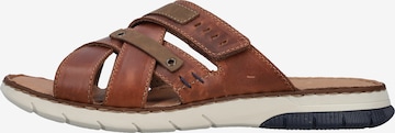 Rieker Mules ' 25292 ' in Brown