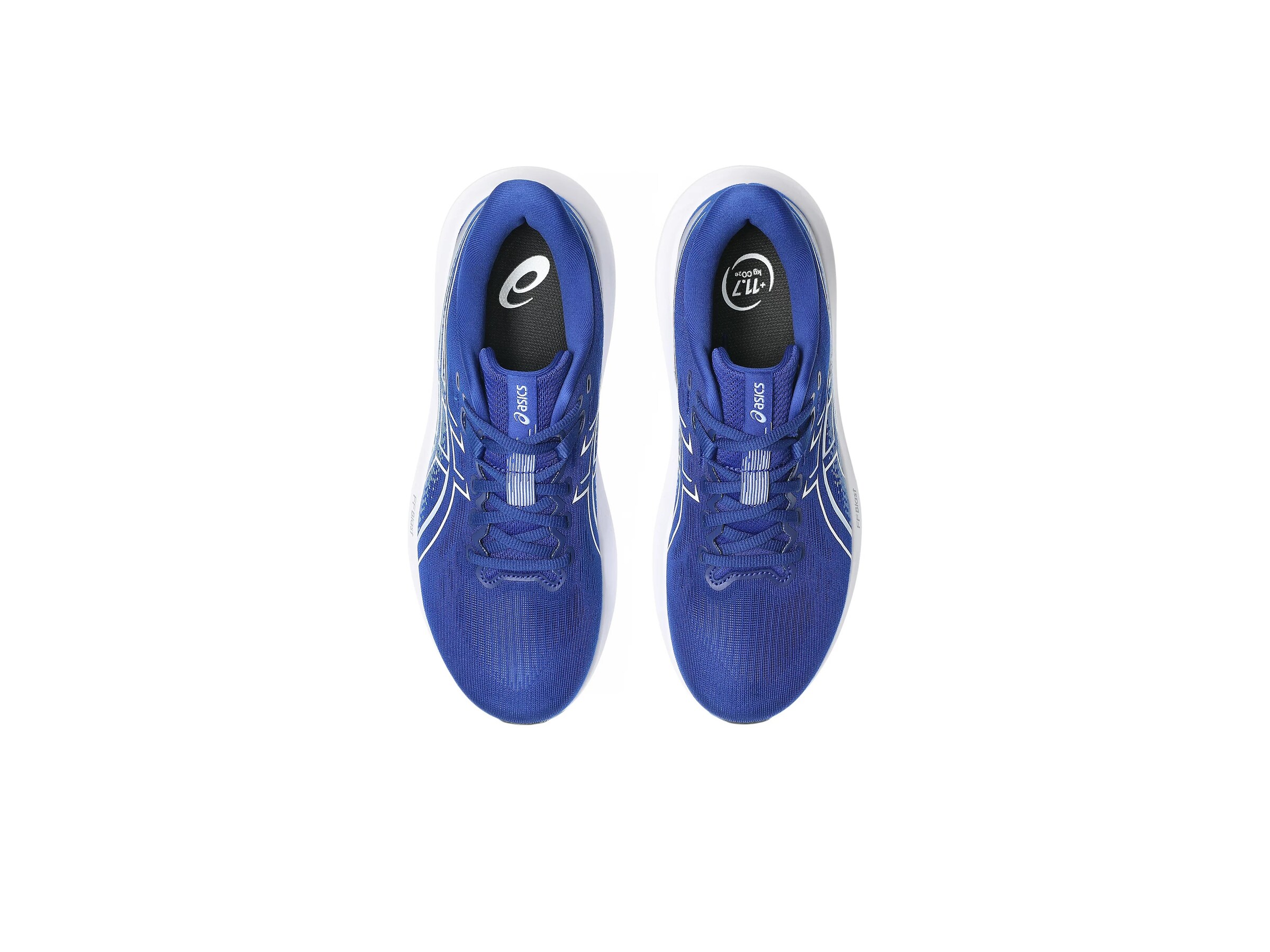 ASICS Laufschuh 'GT-1000 15' in Blau