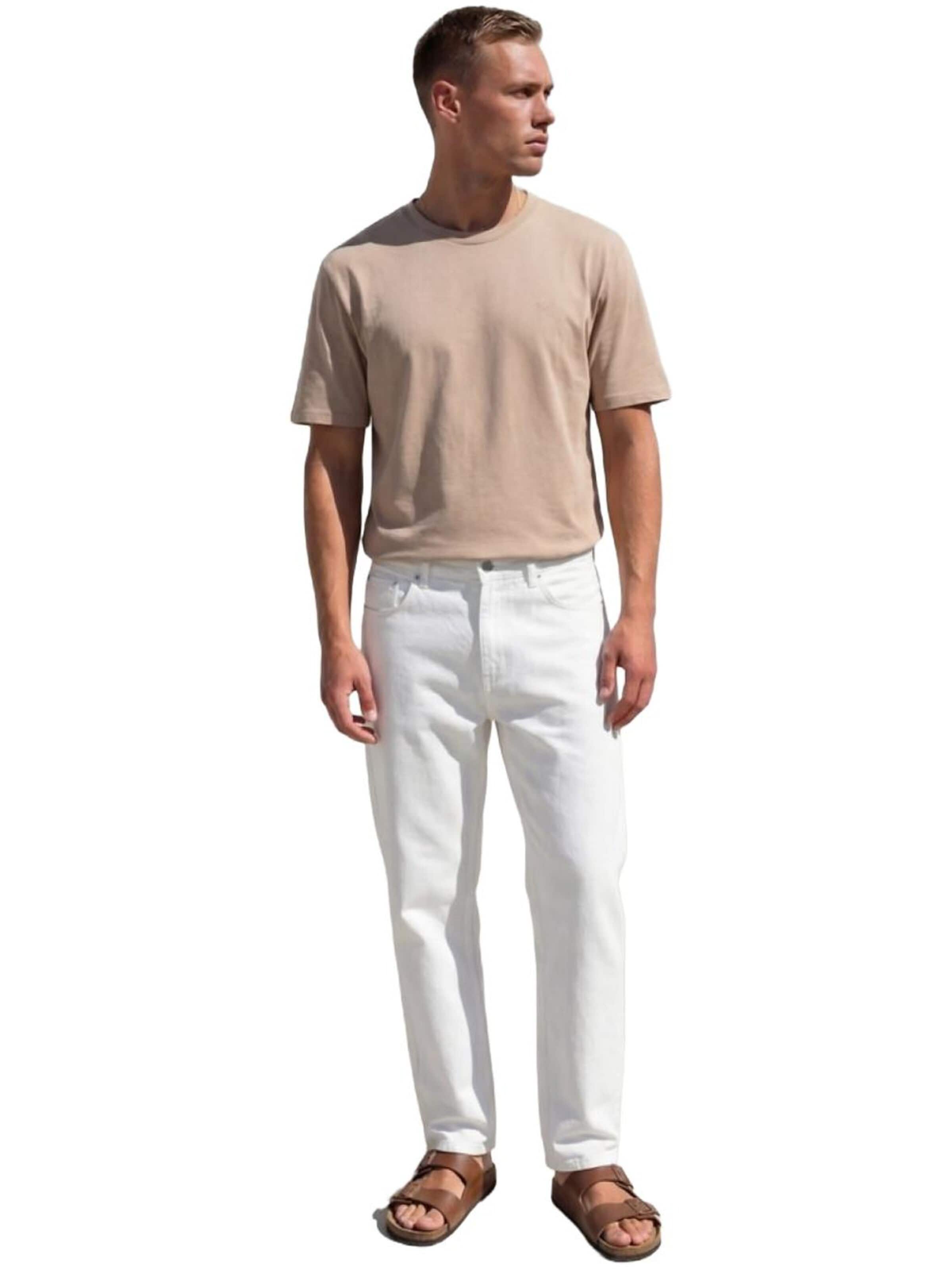 Maglietta 'Basic T-Shirt' di LTB Jeans in beige: frontale