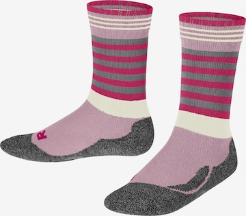 FALKE Socks 'Active Frog' in Pink: front