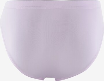 Olaf Benz Panty ' RED2331 Sportbrief ' in Purple