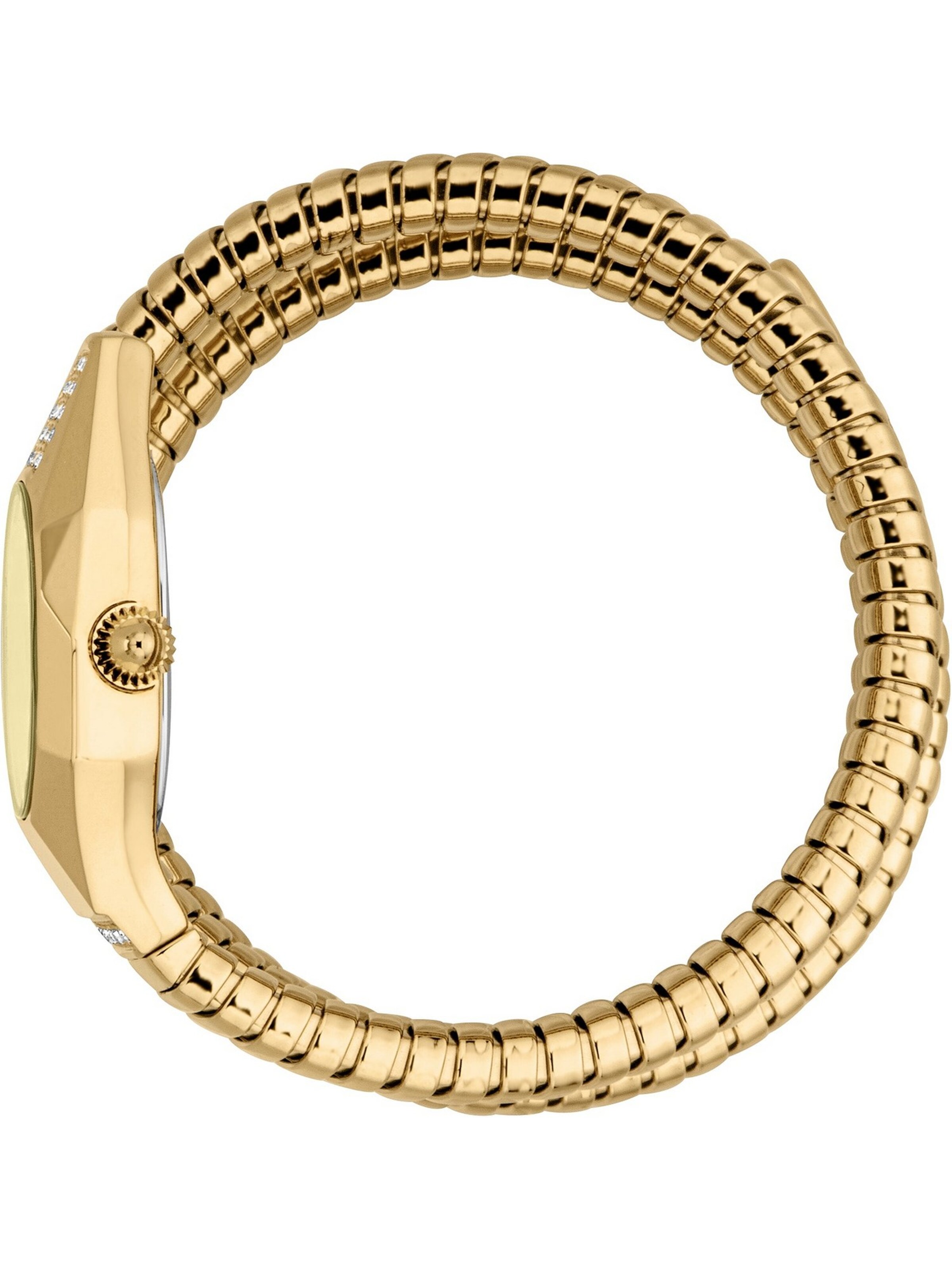 Just Cavalli Time Analog Watch in Gold