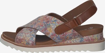 ARA Sandals 'Valencia' in Mixed colors