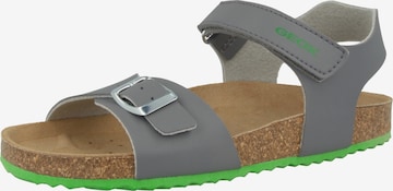 GEOX Sandals & Slippers 'Ghita' in Grey: front