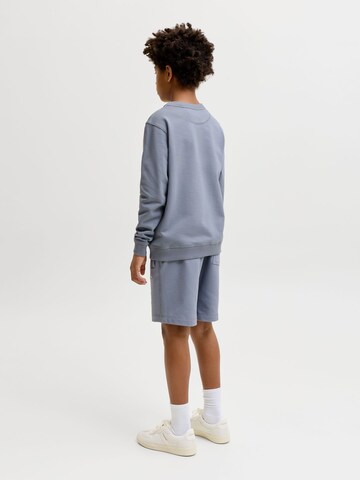 Jack & Jones Junior Loosefit Shorts in Blau