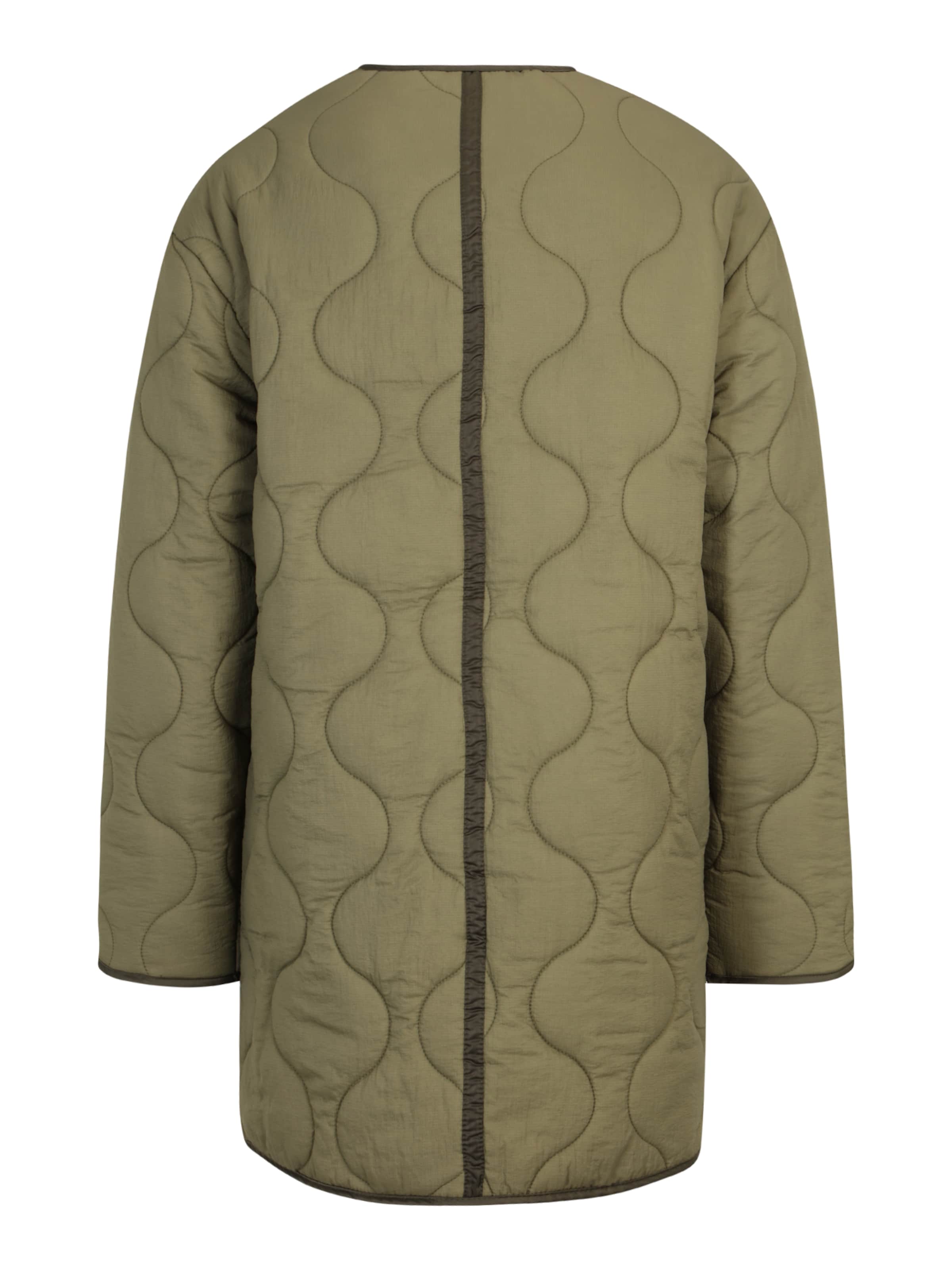 Dorothy Perkins Tall Демисезонная куртка в Зеленый