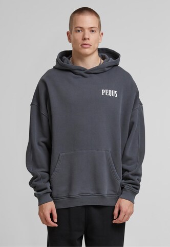 Pequs Sweatshirt 'Island of Heartbreaks' i grå