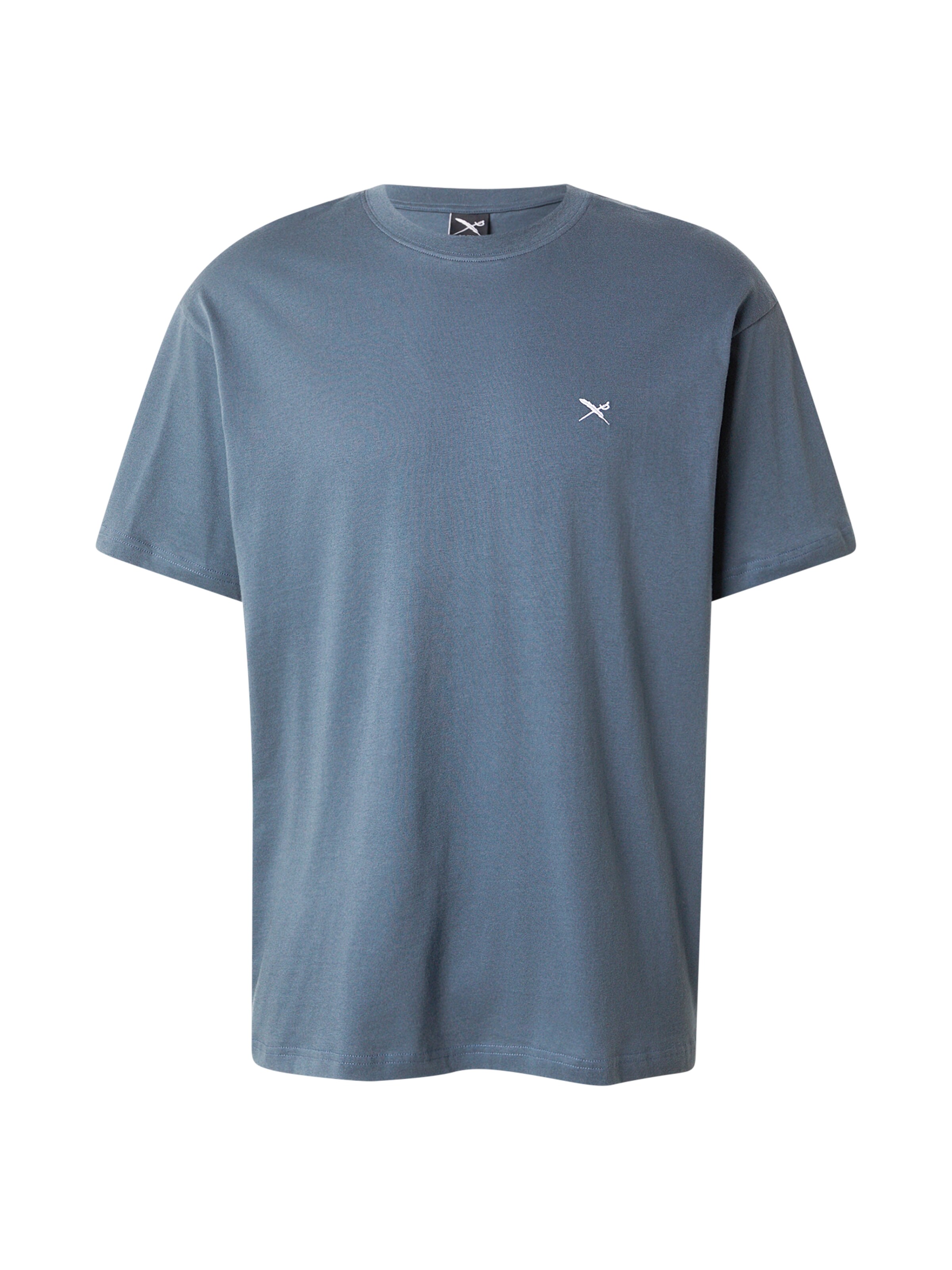 T-Shirt Iriedaily en gris : devant