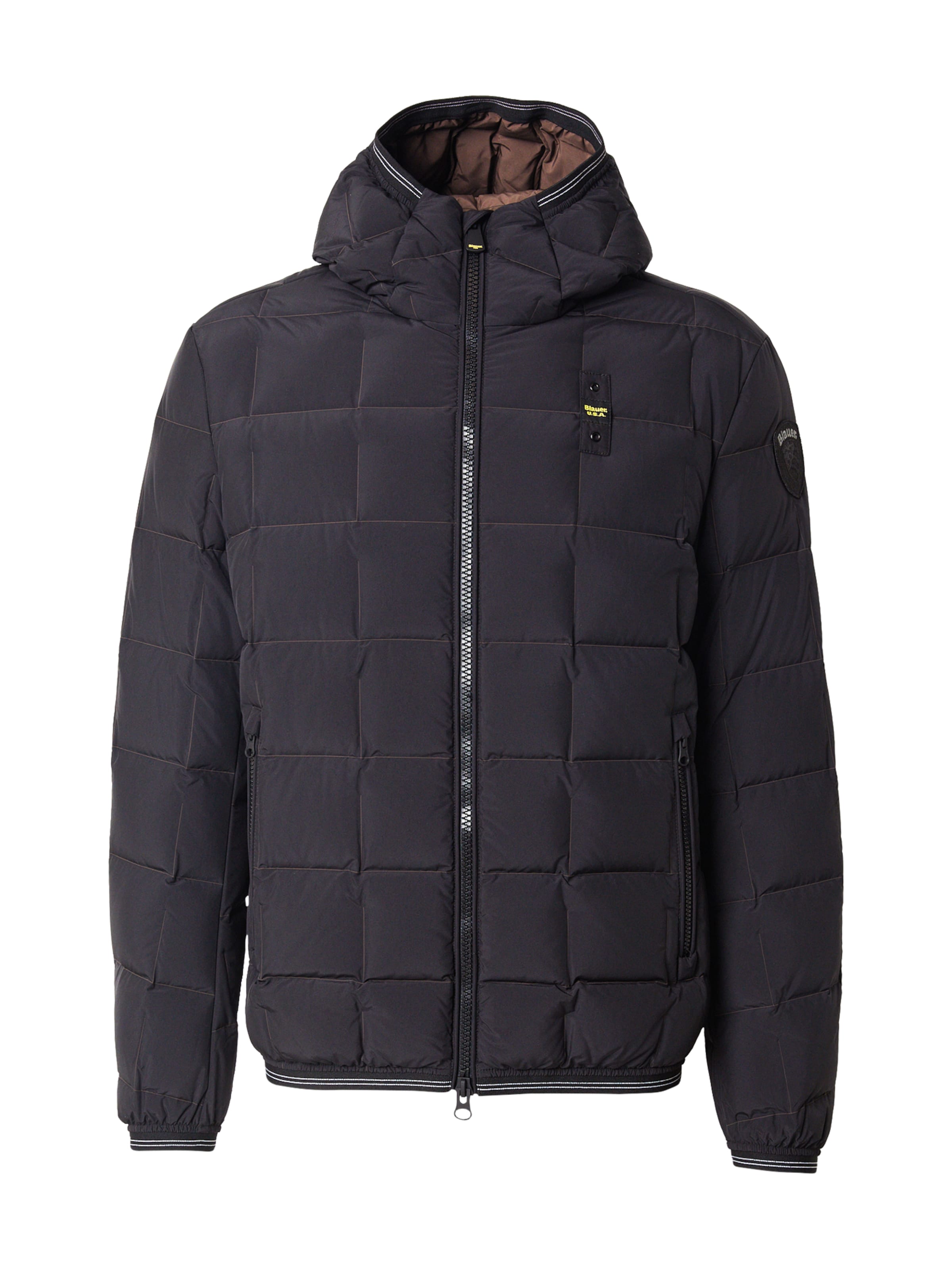 Blauer.USA Zimní bunda 'Dalin' – černá: přední strana