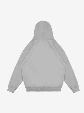 Prosto Sweatshirt 'Big Log Washed' in Grey