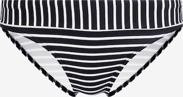 s.Oliver Bikini Bottoms in Black: front