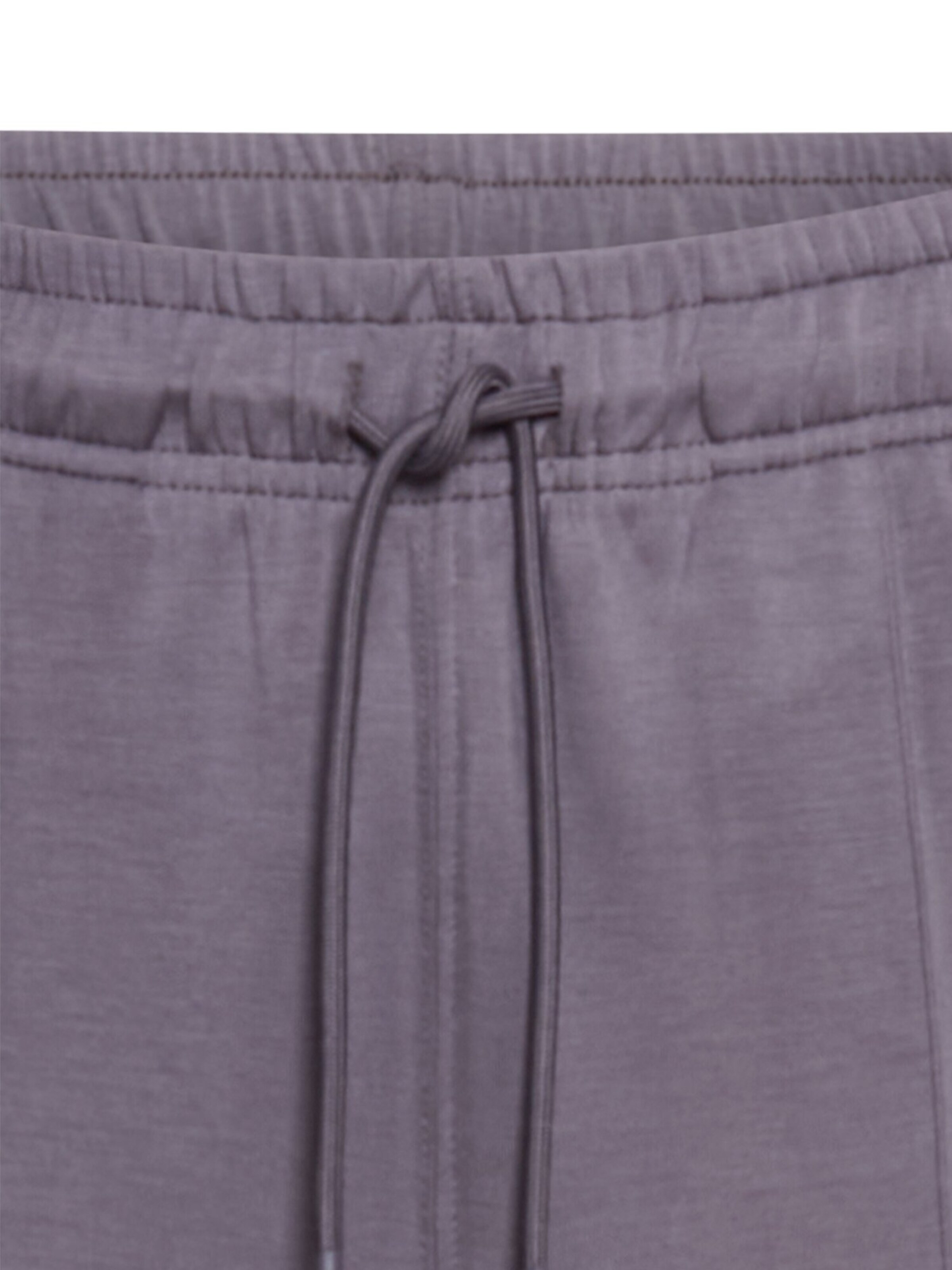 CAMEL ACTIVE Regular Pants in Purple